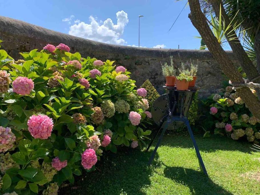 Apartamento Con Jardin Santander Exterior foto