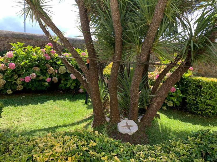 Apartamento Con Jardin Santander Exterior foto