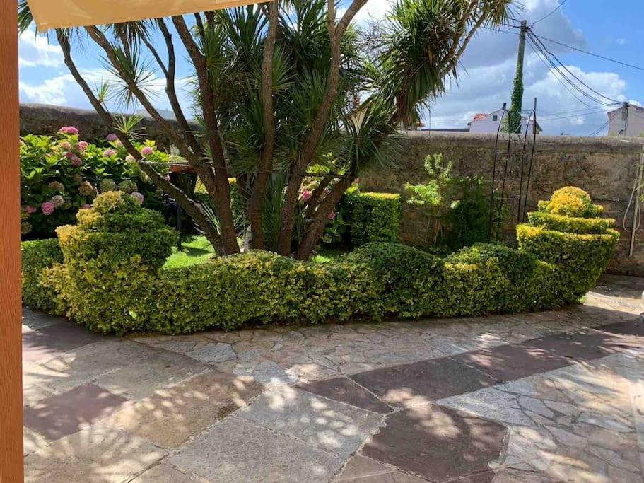 Apartamento Con Jardin Santander Exterior foto
